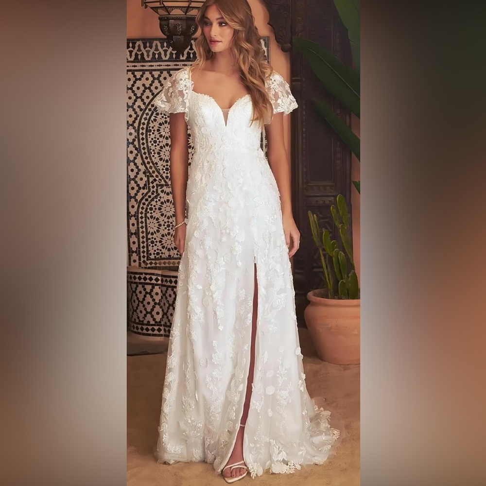 Elegant ivory Lace Dress- floor length